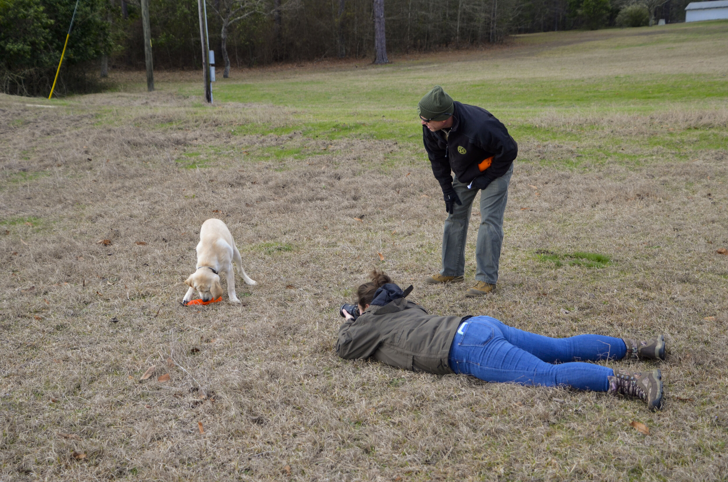 Love Farm Dog Photos_DLucas_092_1.JPG