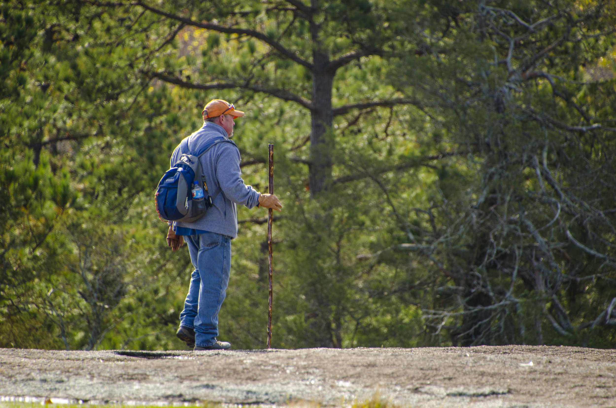 Forty Acre Rock is a great day hike destination in the Sandhills region.