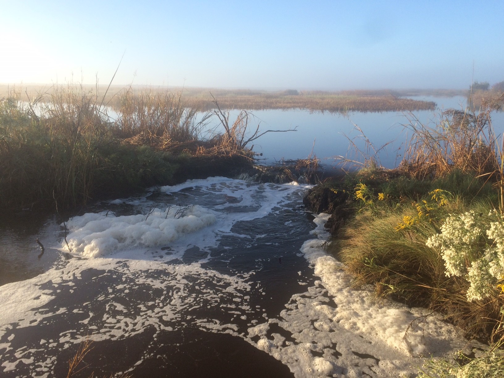 A dike breach on Cedar Island at Santee Coastal Reserve before SCDNR crews go to work on it. (SCDNR photo by Joachim Treptow)
