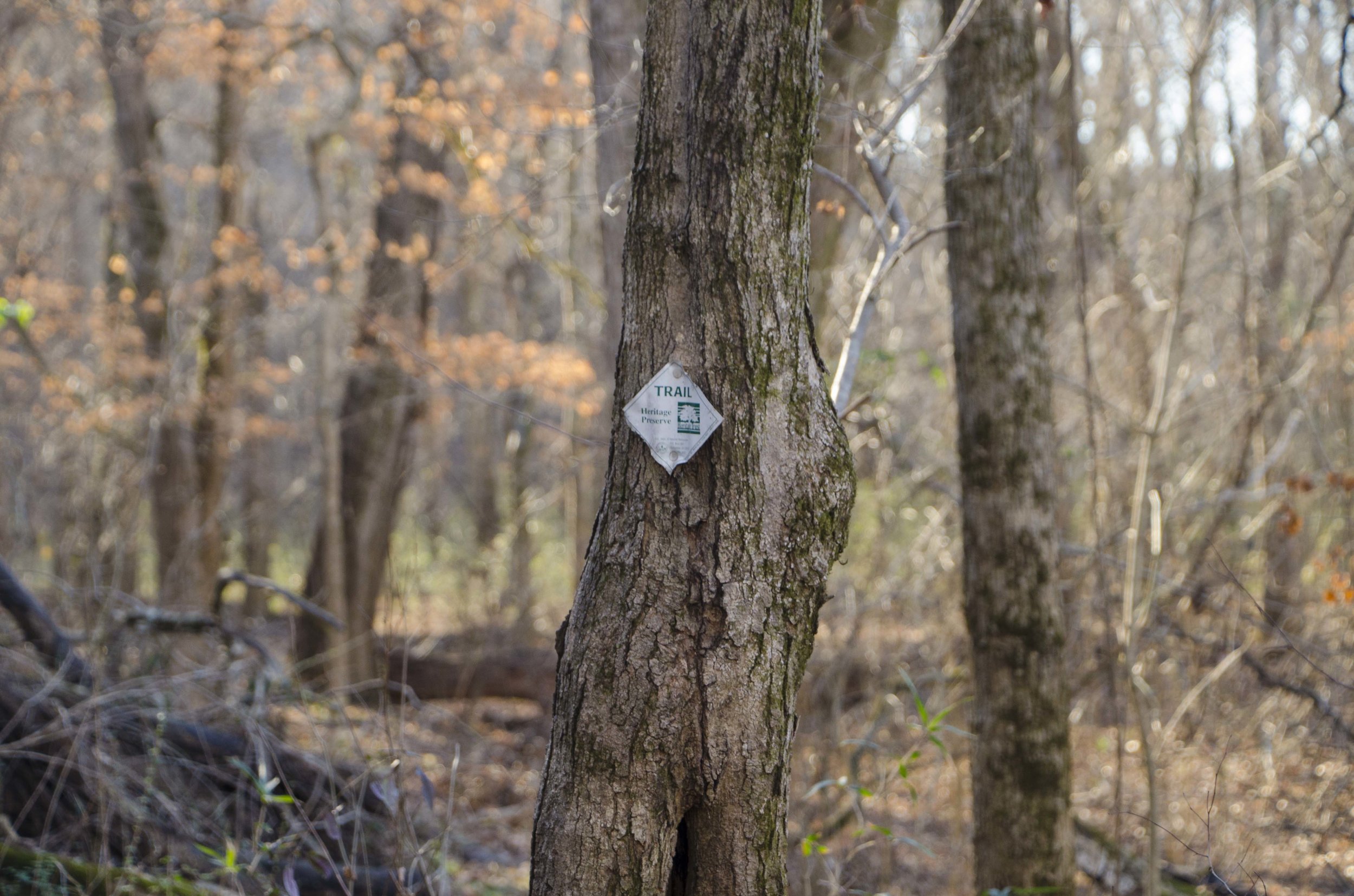  It's not long before the trail begins to get steep.&nbsp;(SCDNR photo by D. Lucas) 
