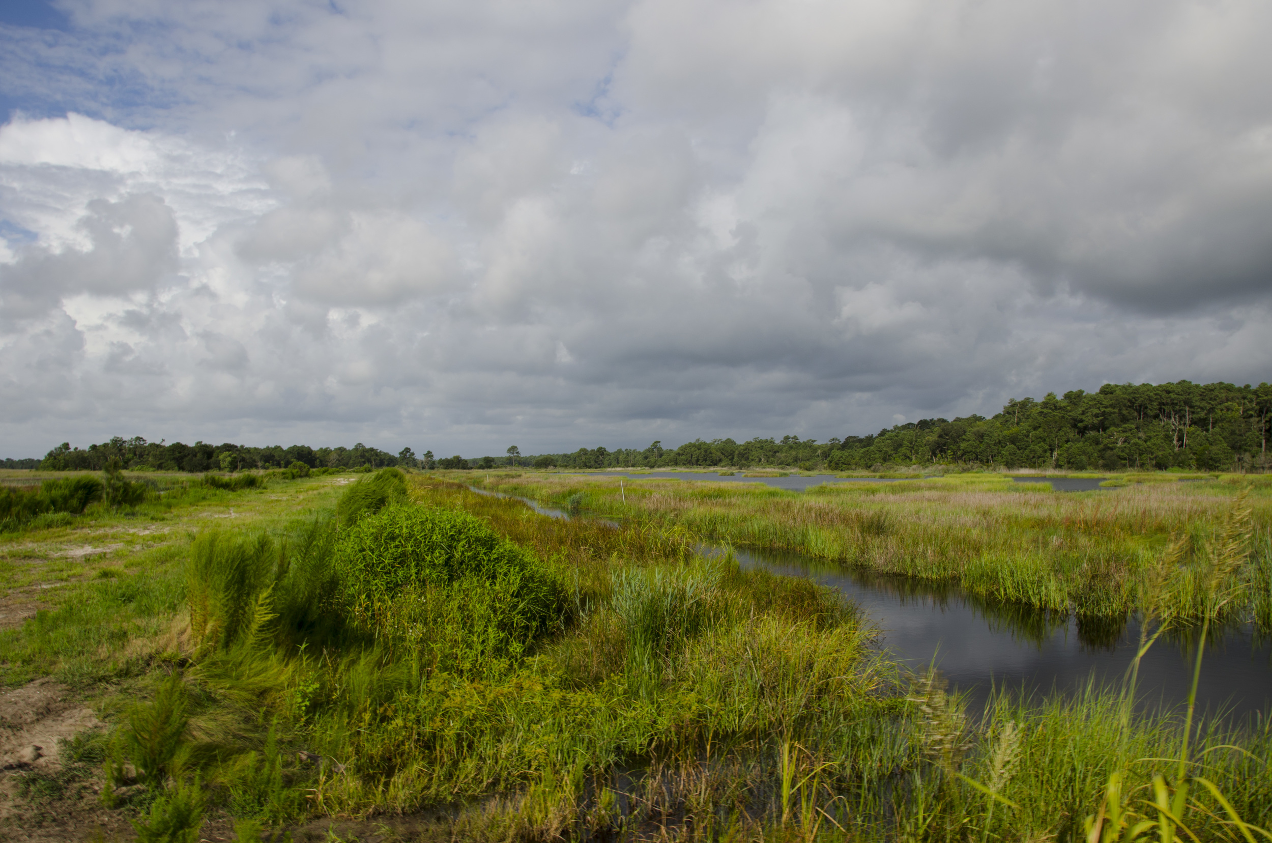 The Cape in all its glory