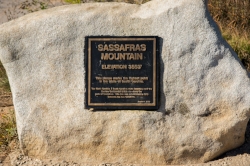 South Carolina's highest peak.&nbsp;(SCDNR photo by Taylor Main)