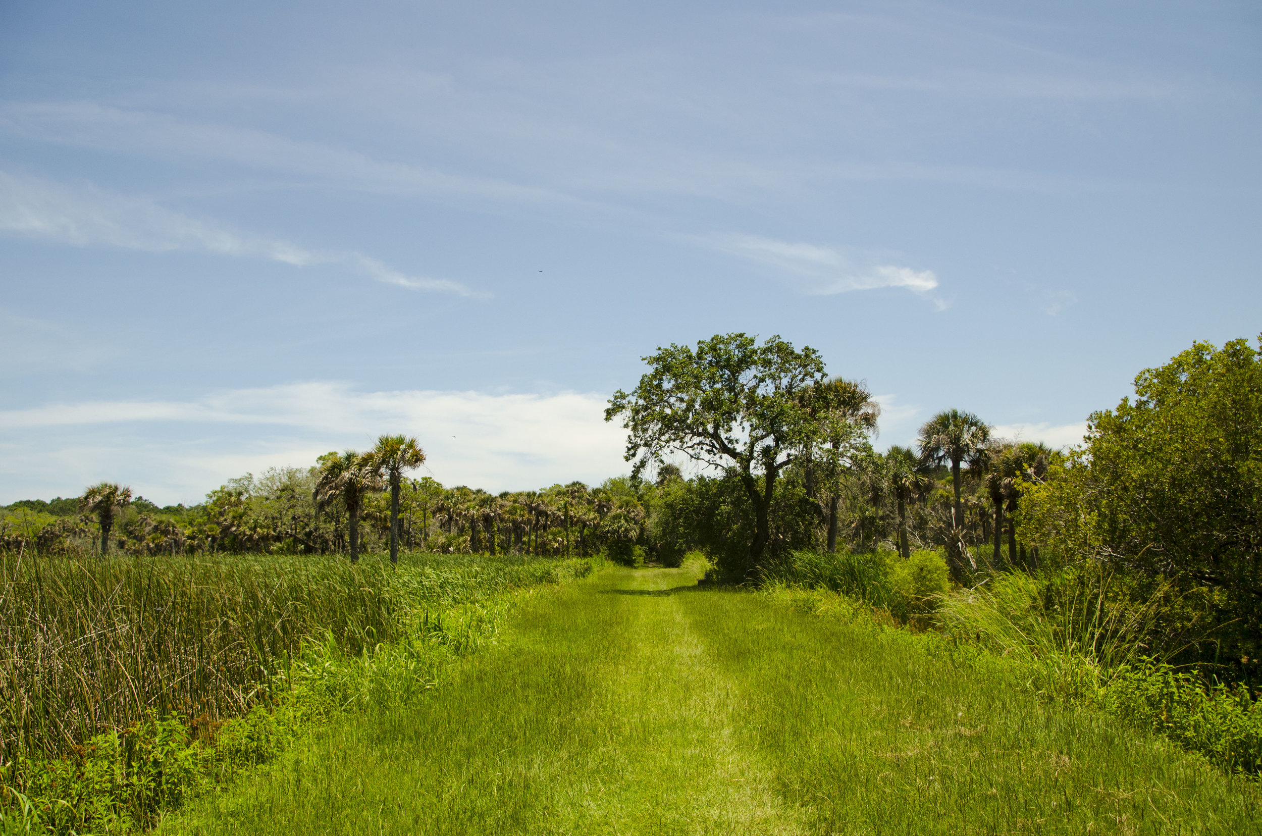  The “Turkey Walk” trail. 
