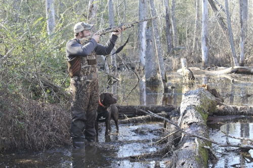 Finding the right habitat is key to finding ducks. After that, the weather, and even the moon, can play a large role. (photo: SCW magazine -Harry Hampton Photo Contest photo by Kaylee Hudson)