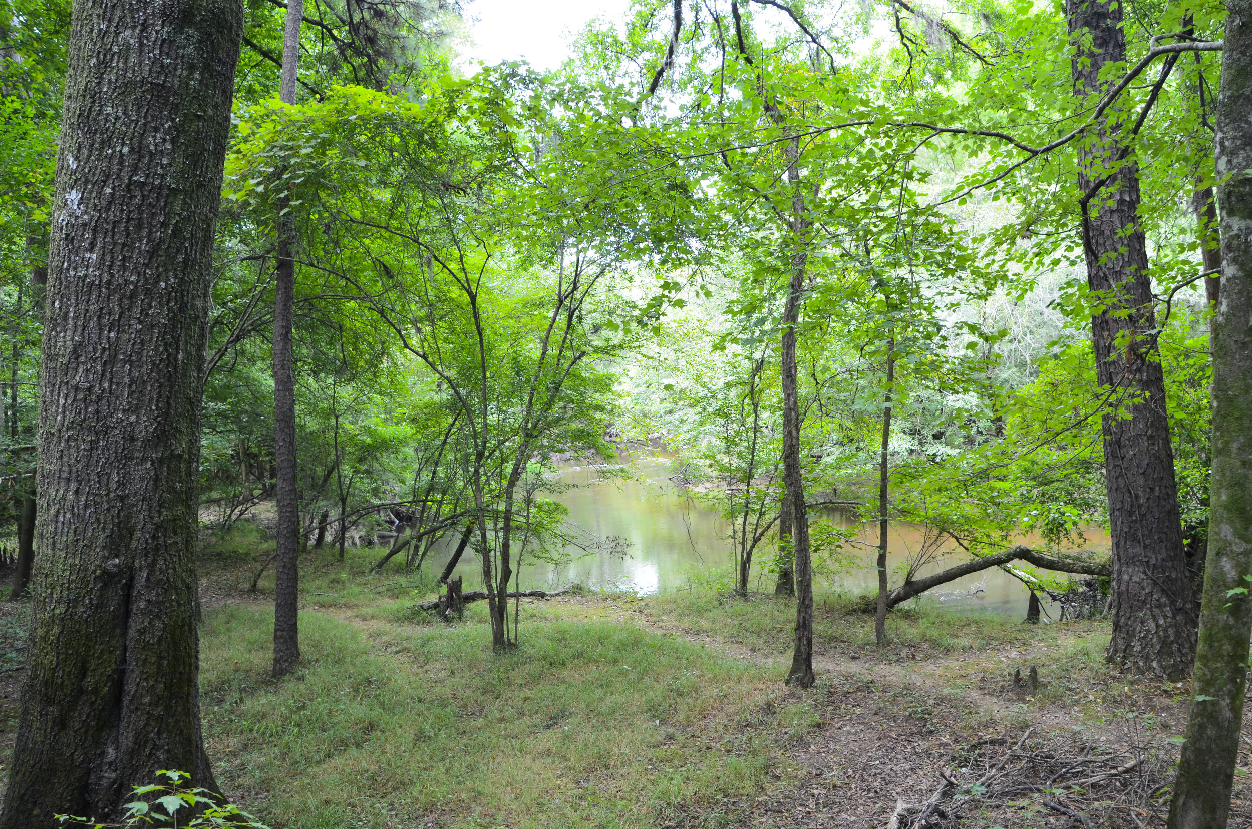 Lynches River Shots for Blog_9.JPG