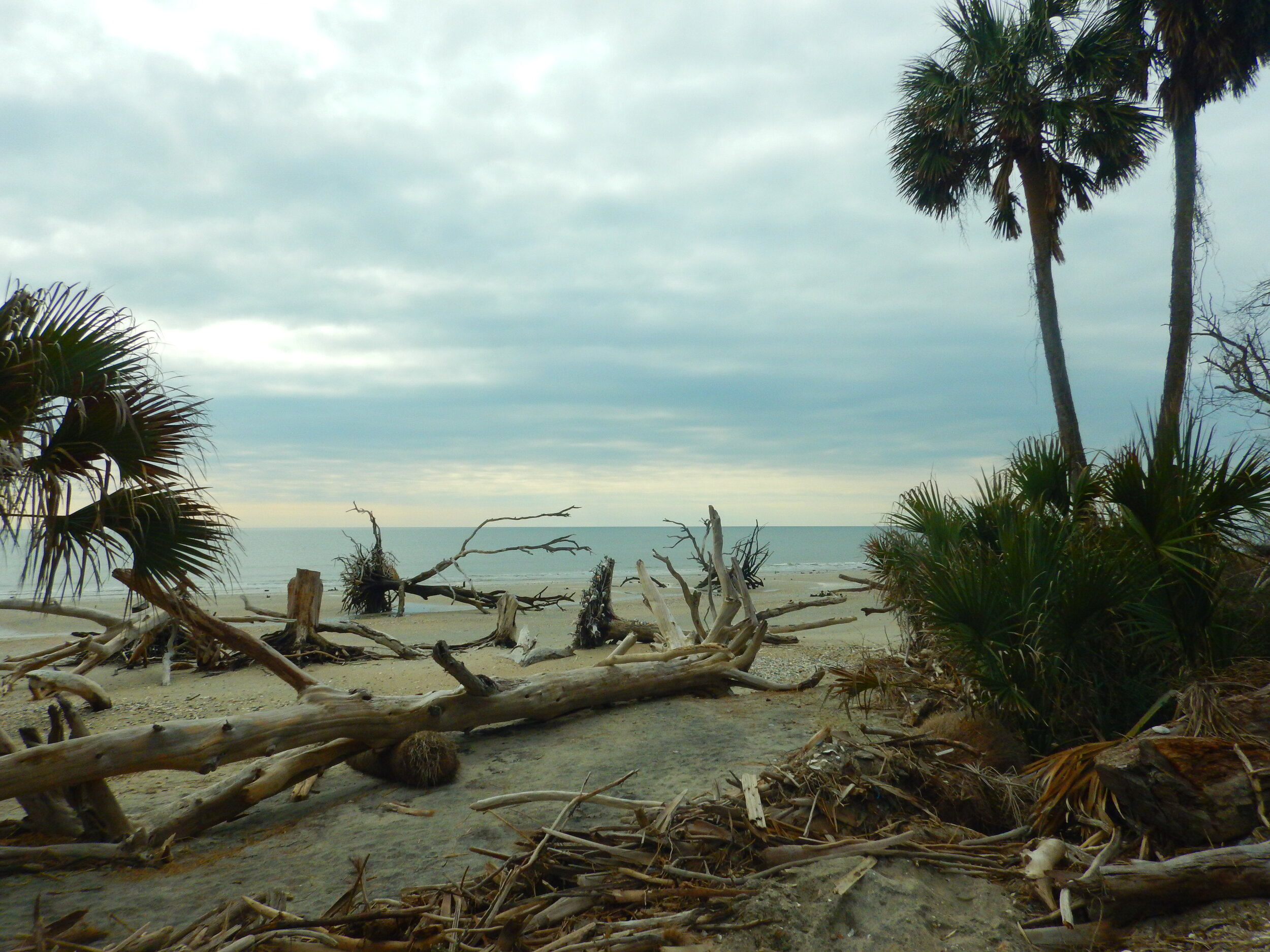 Coastal Zone Management: Under the federal Coastal Zone Management Act, the U.S. National Oceanic and Atmospheric Administration (NOAA) annually provides coastal states, including South Carolina, with grants that support coastal habitats in num