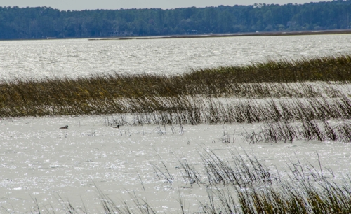 The Okatee River is at the upper reaches of the Colleton River, one of the estuaries at the head of Port Royal Sound.