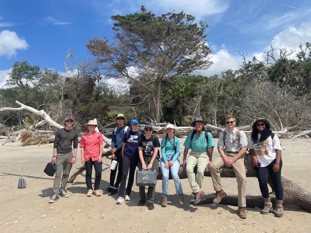 Pockoy Island: A Story of Climate Change in South&nbsp;Carolina