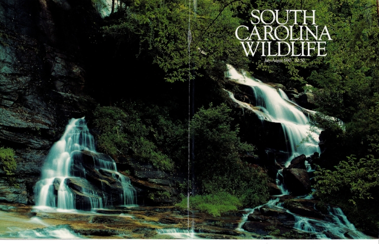 SCW magazine photographer Michael Foster captured this image of the iconic "Twin Falls" of Reedy Cove Creek for the cover of the July-August 1990 issue.