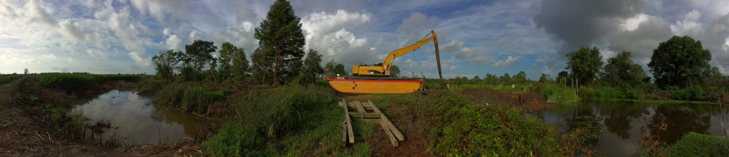 The "Ampib" on a dike at Samworth WMA