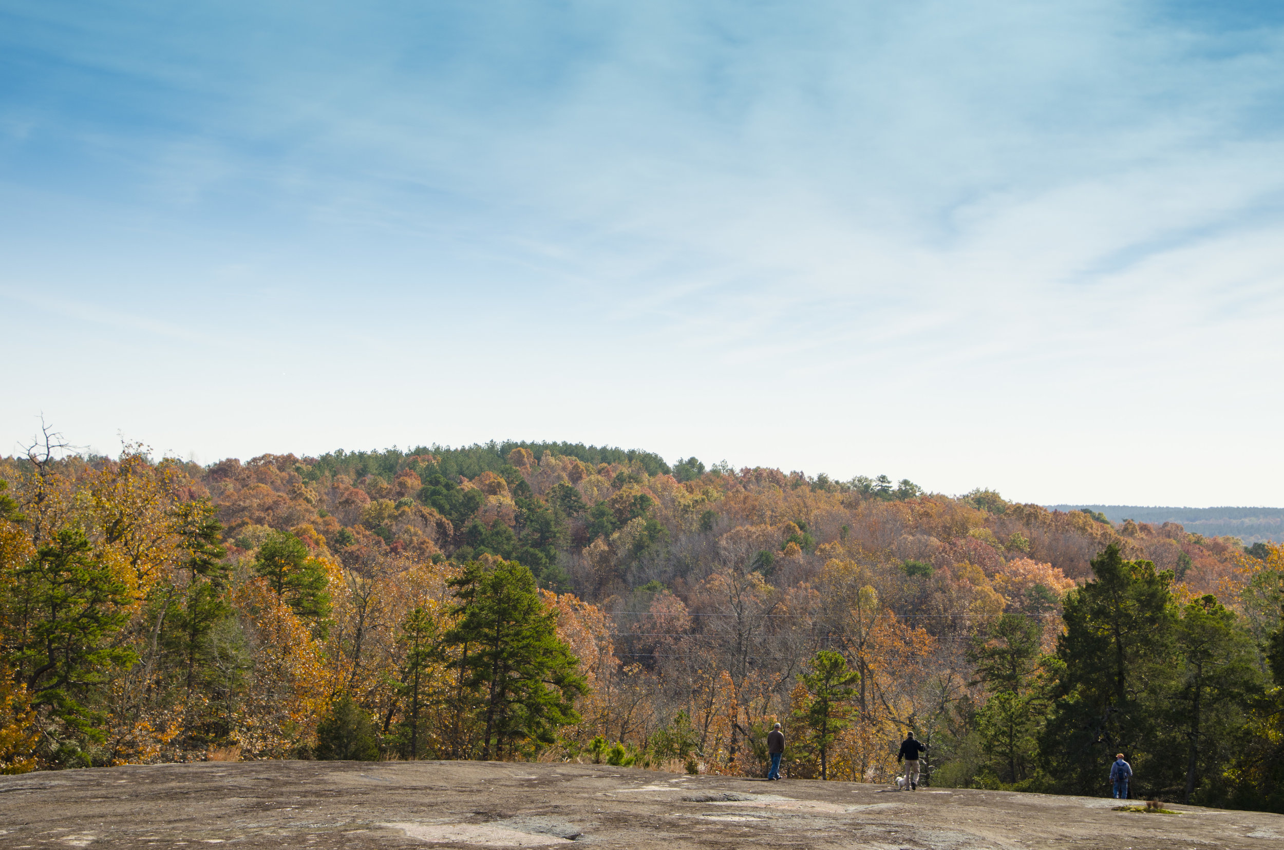 Forty Acre Rock_November2018_DLucas_058.JPG