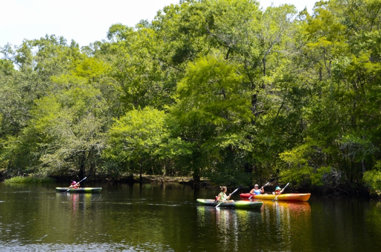 Kayakers leave Chris Anderson Landing for an afternoon of fun and adventure on the river.&nbsp;[SCDNR image by David Lucas -- see complete photo gallery at the end of the article.]