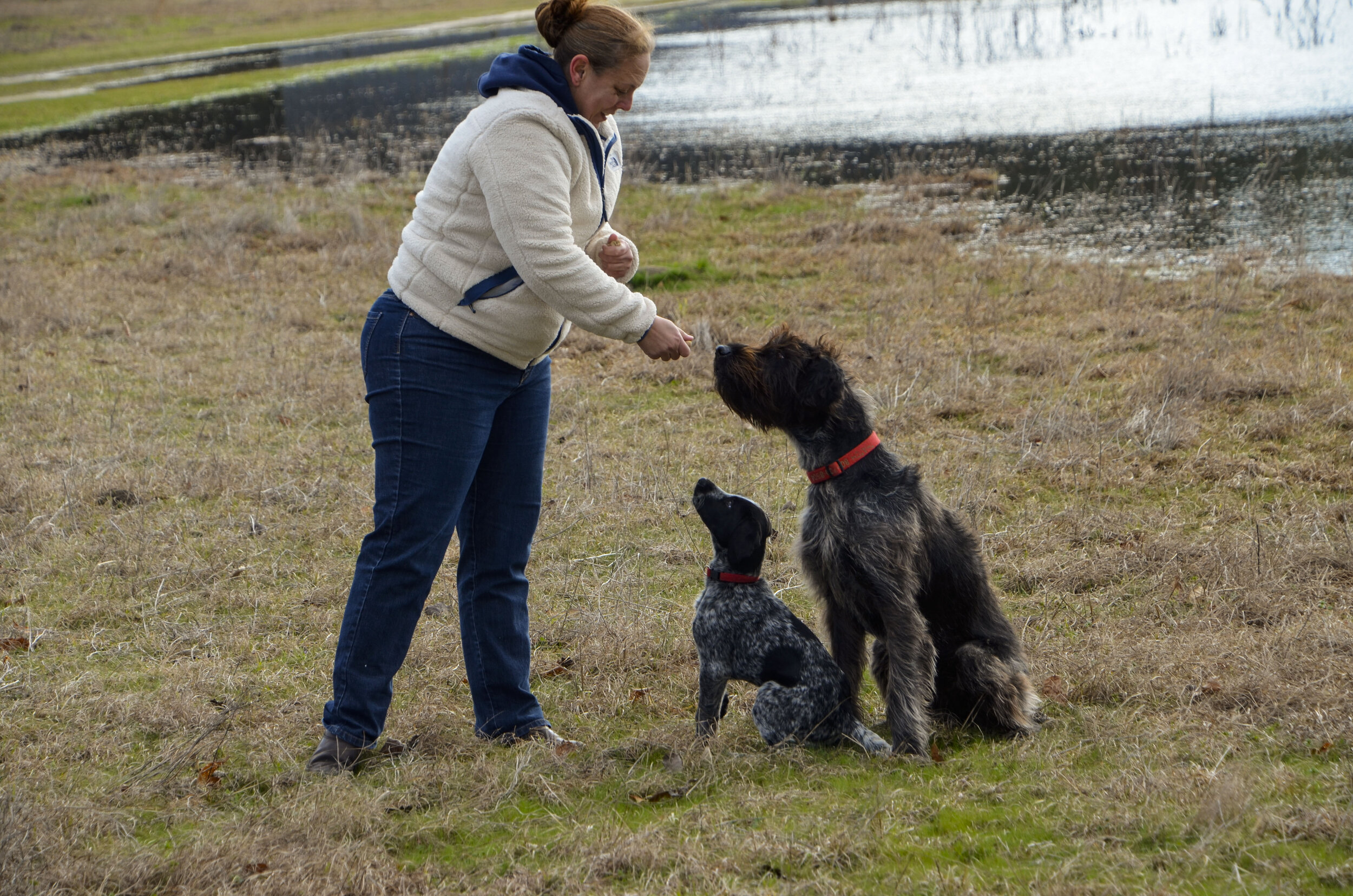 Love Farm Dog Photos_DLucas_024_1.JPG