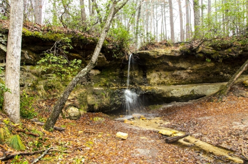 Nope, you're not in the mountains, just looking at the only naturally occurring waterfall in the South Carolina coastal plain.