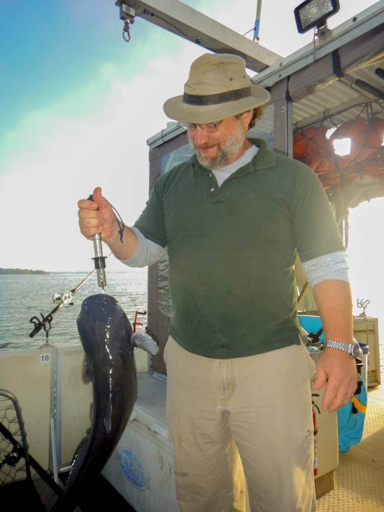 Lake Marion is well known for its population of catchable (and tasty) blue catfish.