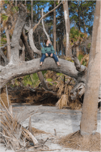 Tucker sitting on a tree limb.