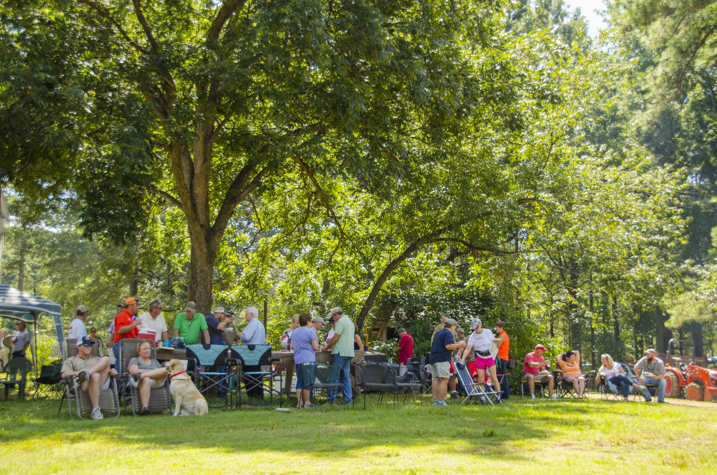 Bird Dog Revival_by DLucas_079.JPG