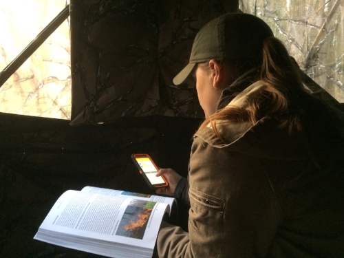 Multi-tasking. &nbsp;While waiting in a blond for turkeys to come into rocket net range, Alaina Gerrits stays in constant contact with the other members of the research team via text message, as well as catching up on her graduate school reading. (S…