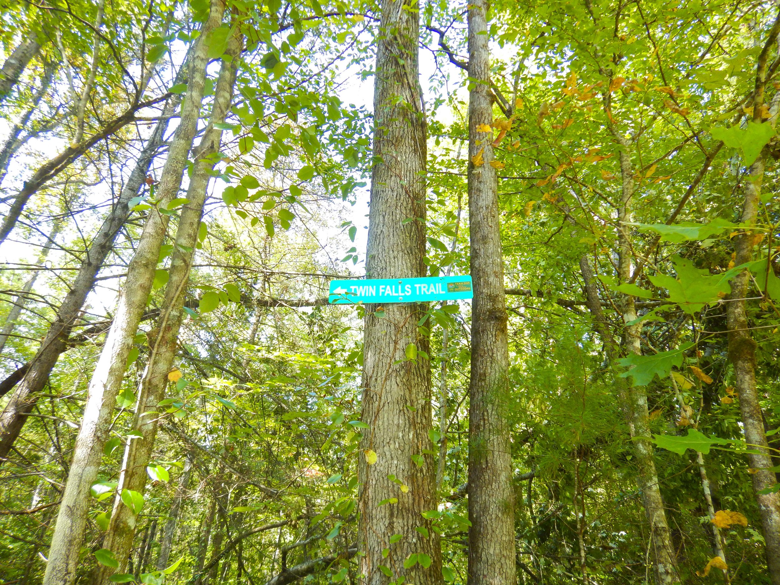 Reedy Cove Falls for Blog by DLucas_15.JPG