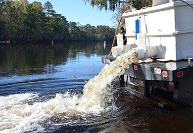 The scenic Little Pee Dee River is re-gaining its reputation as a redbreast hotspot, thanks to a DNR stocking program.