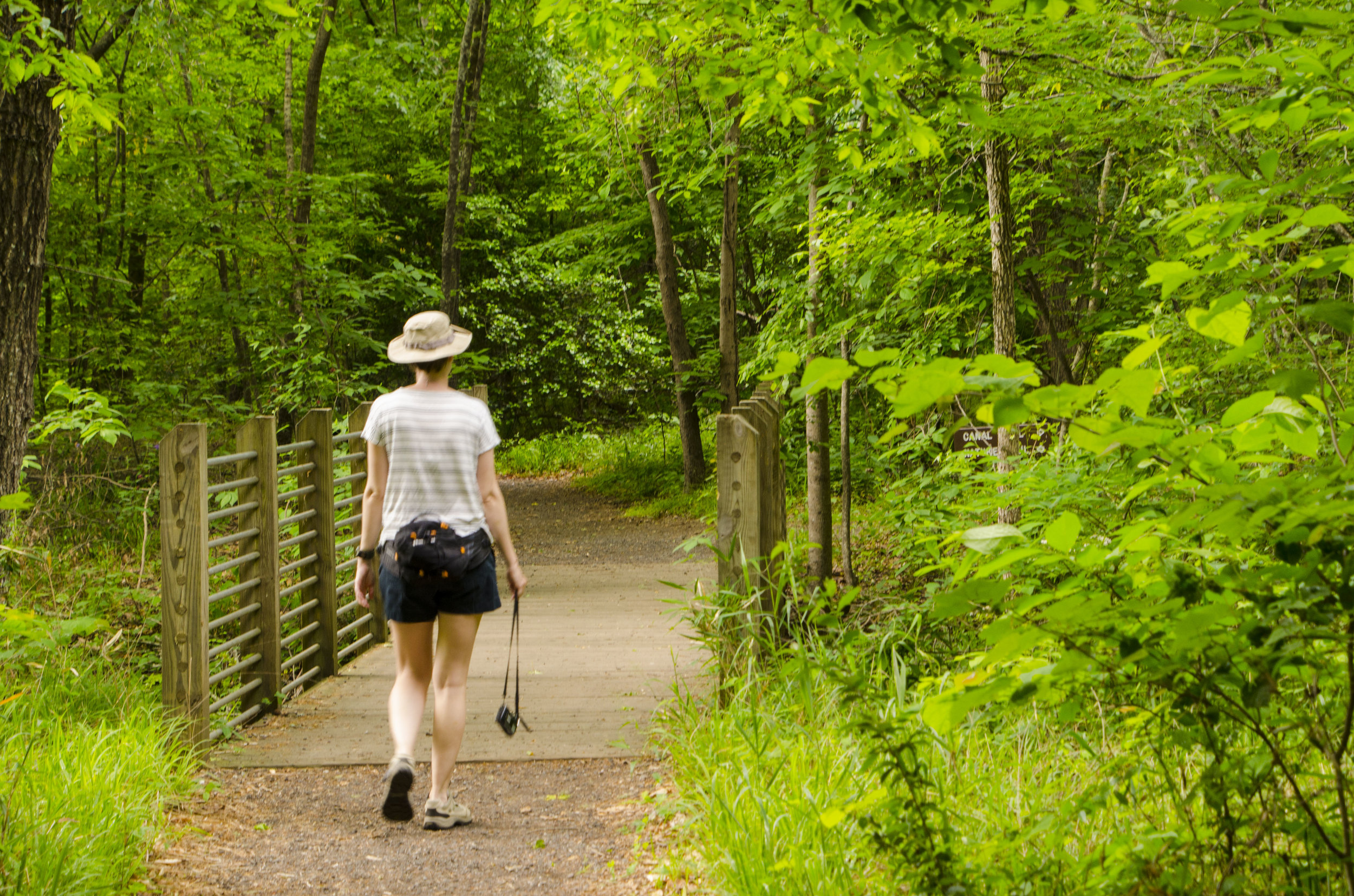 LCSP and Catawba Riverwalk for FB_12.JPG