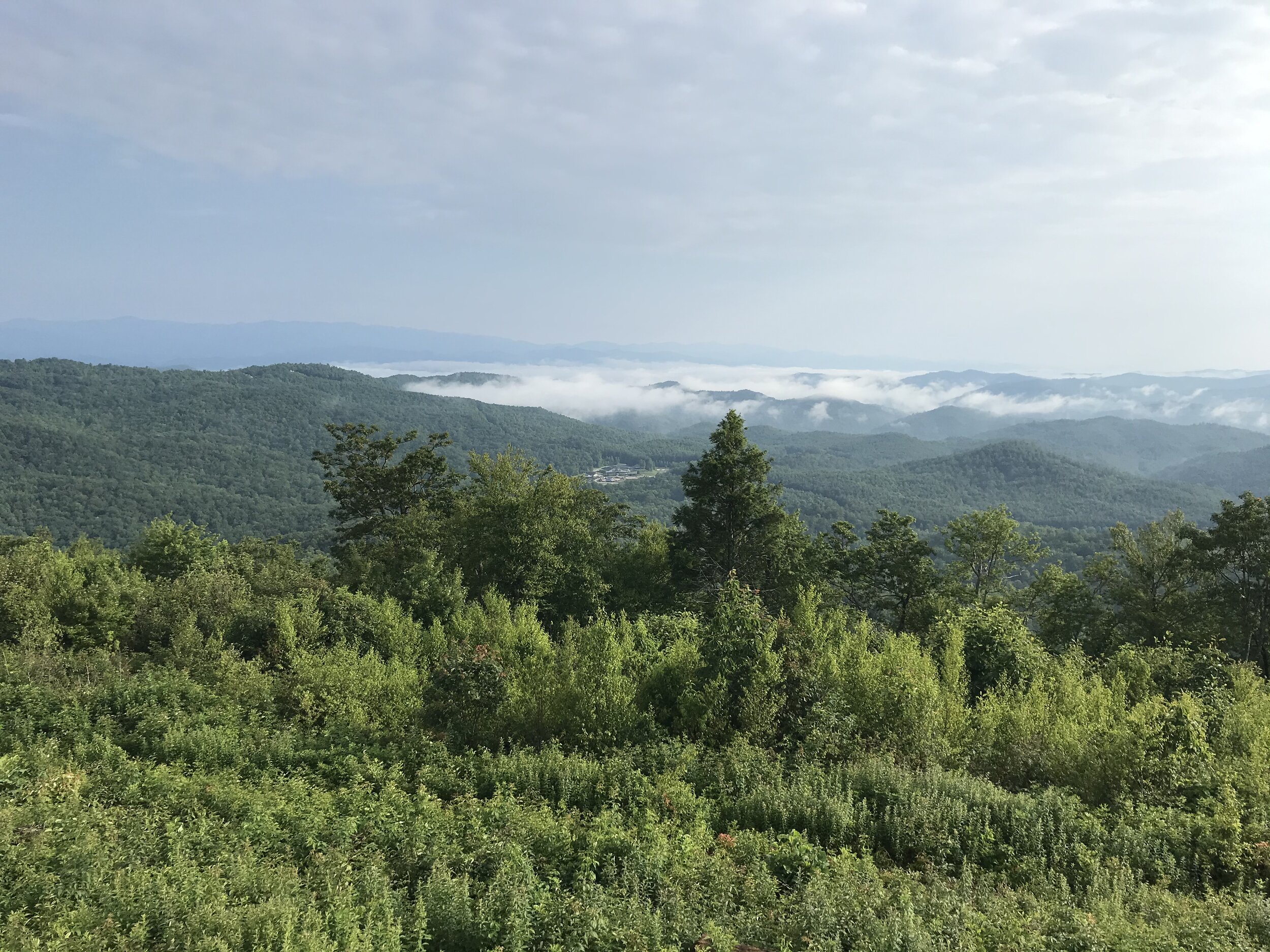 View from Sassafras Overlook.jpg
