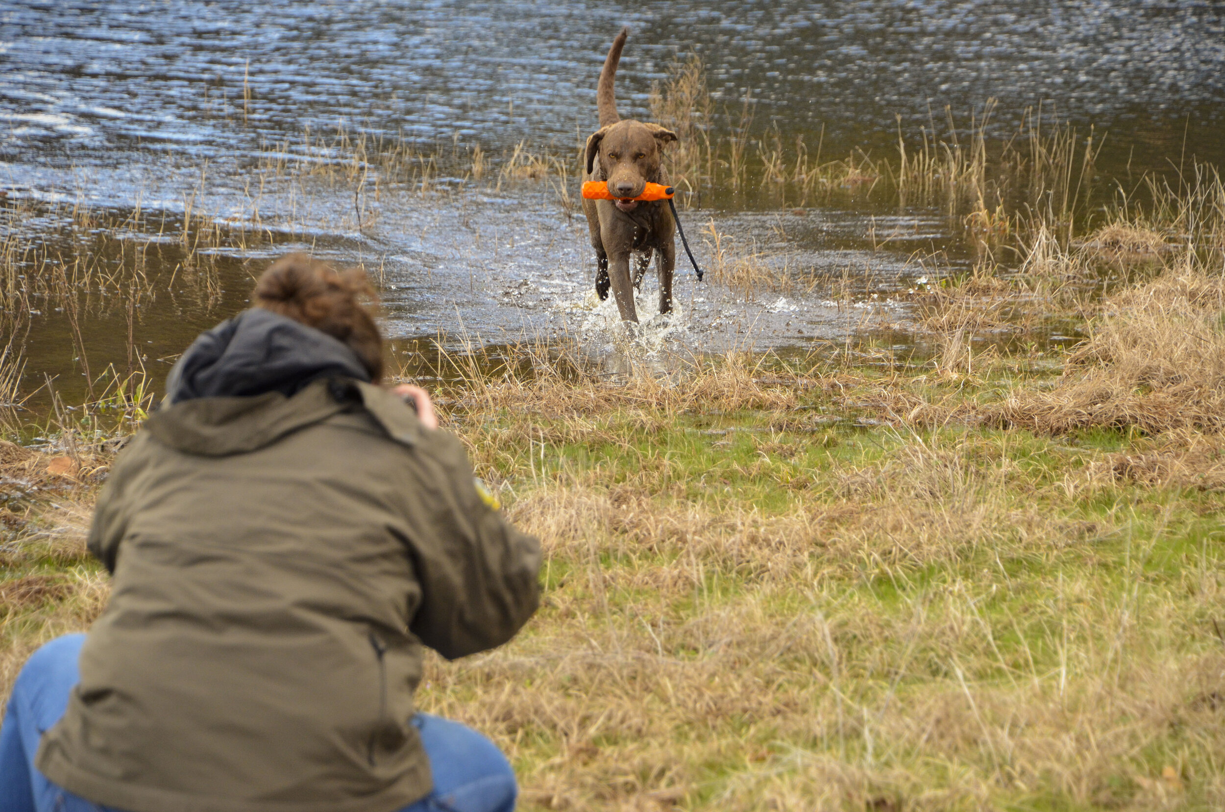 Love Farm Dog Photos_DLucas_117_1.JPG