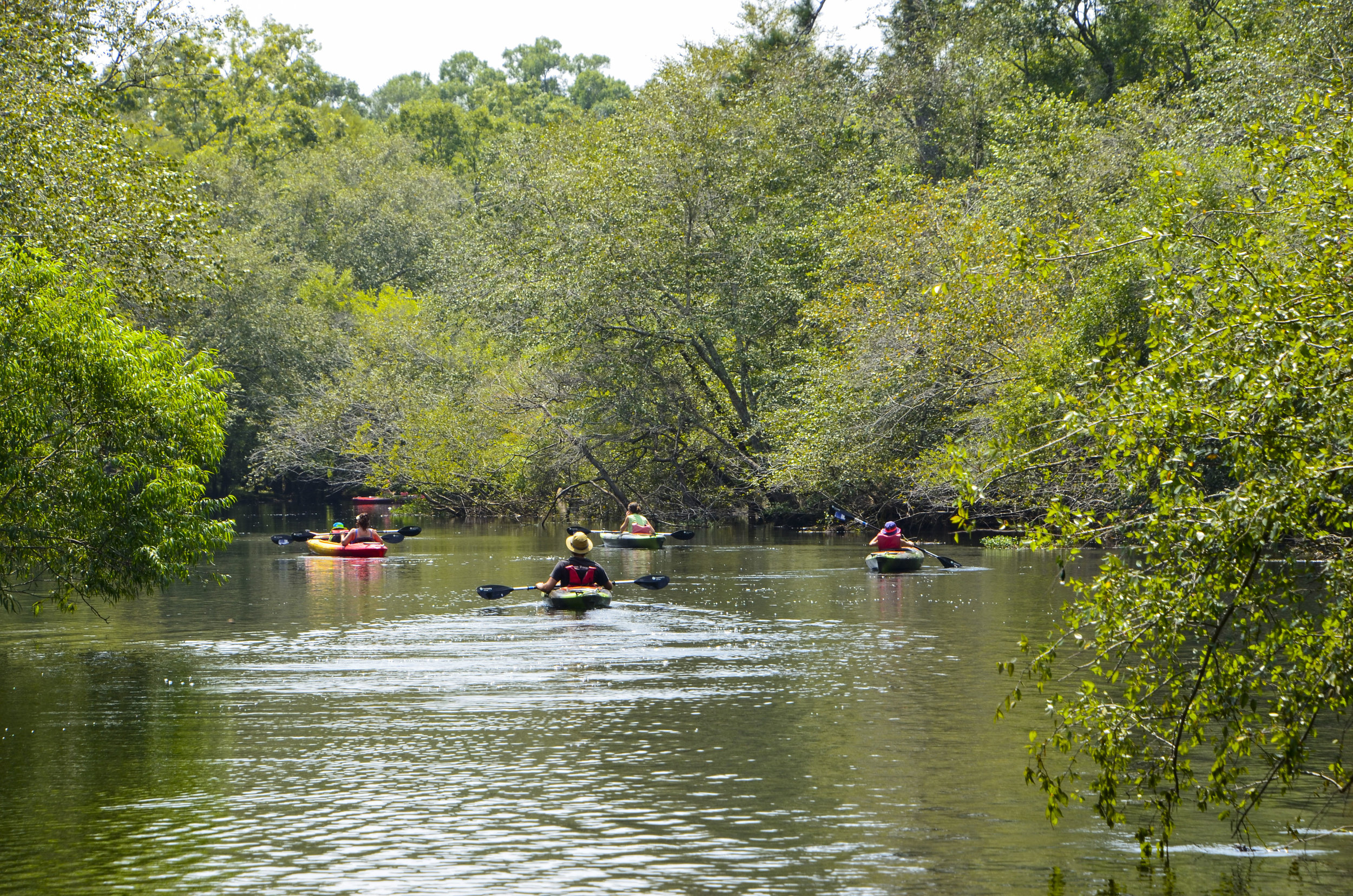  Paddlers headed downstream from Chris Anderson Landing. [Note: The SCDNR strongly urges all boaters to wear an approved PDF at all times while on the water.] 