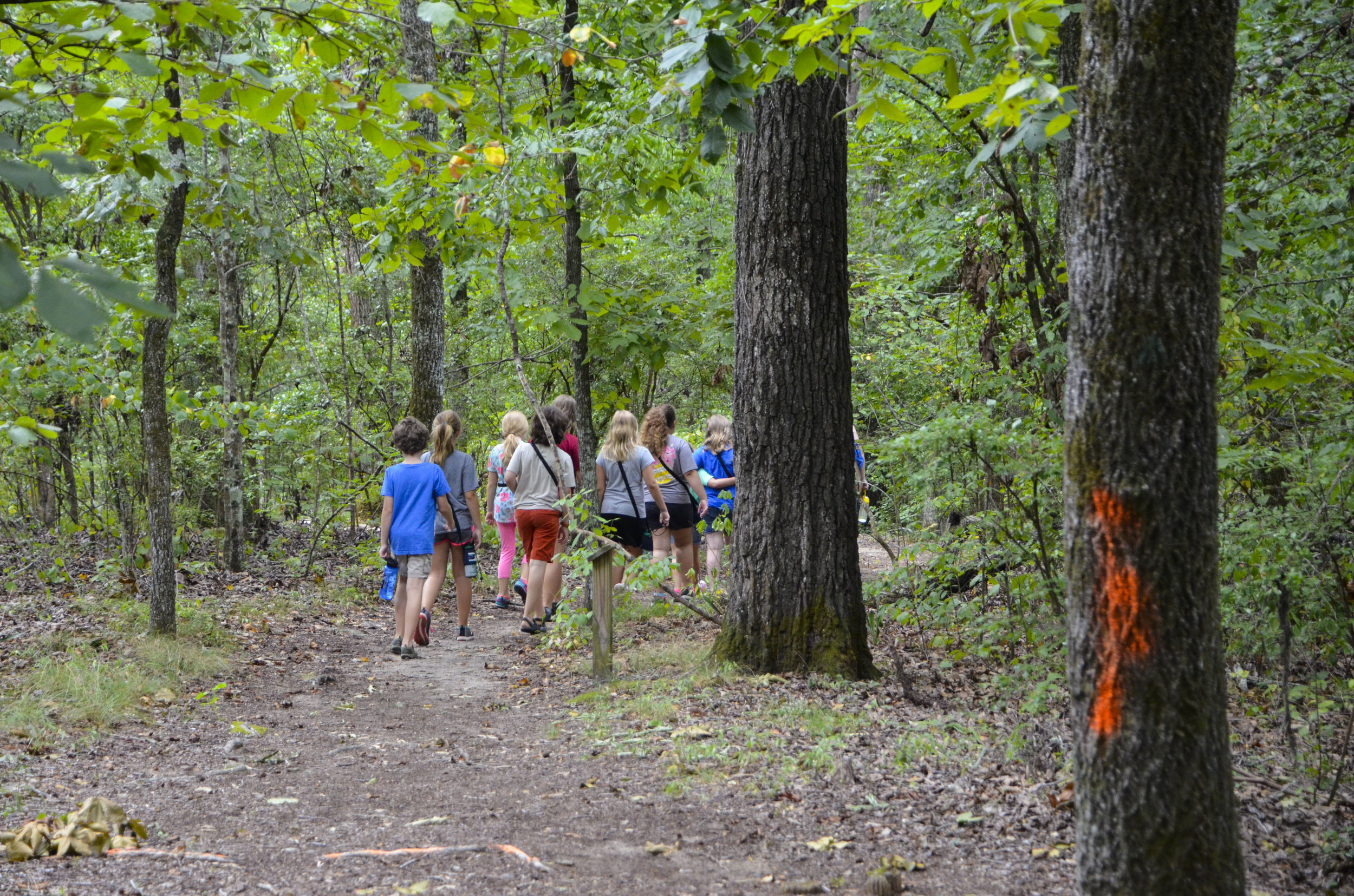 Lynches River Shots for Blog_6.JPG