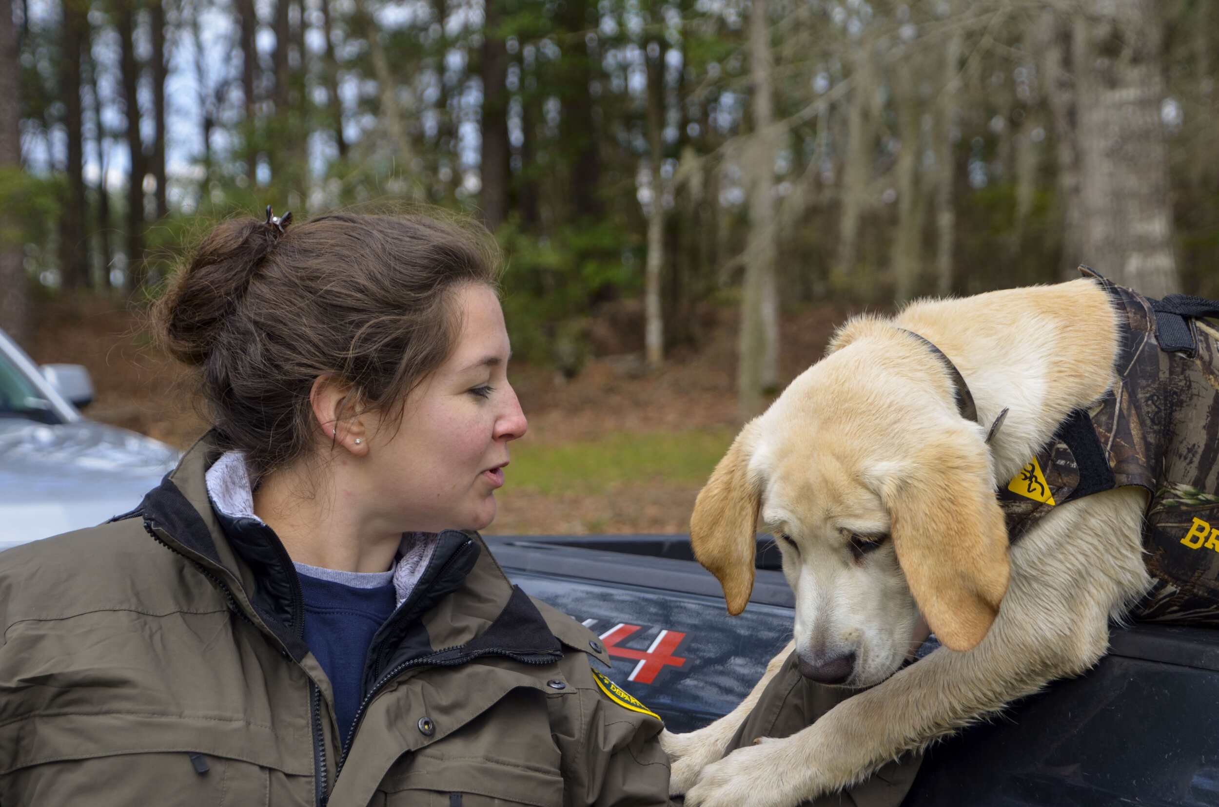 Love Farm Dog Photos_DLucas_484_1.JPG