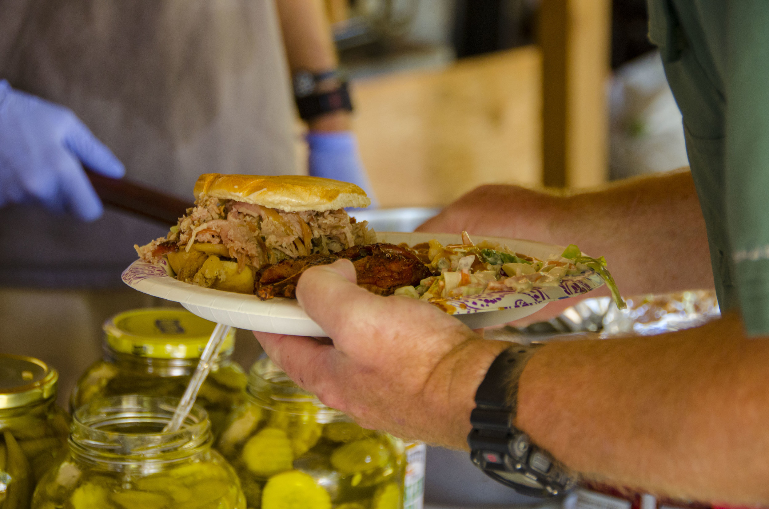 Bird Dog Revival_by DLucas_058.JPG