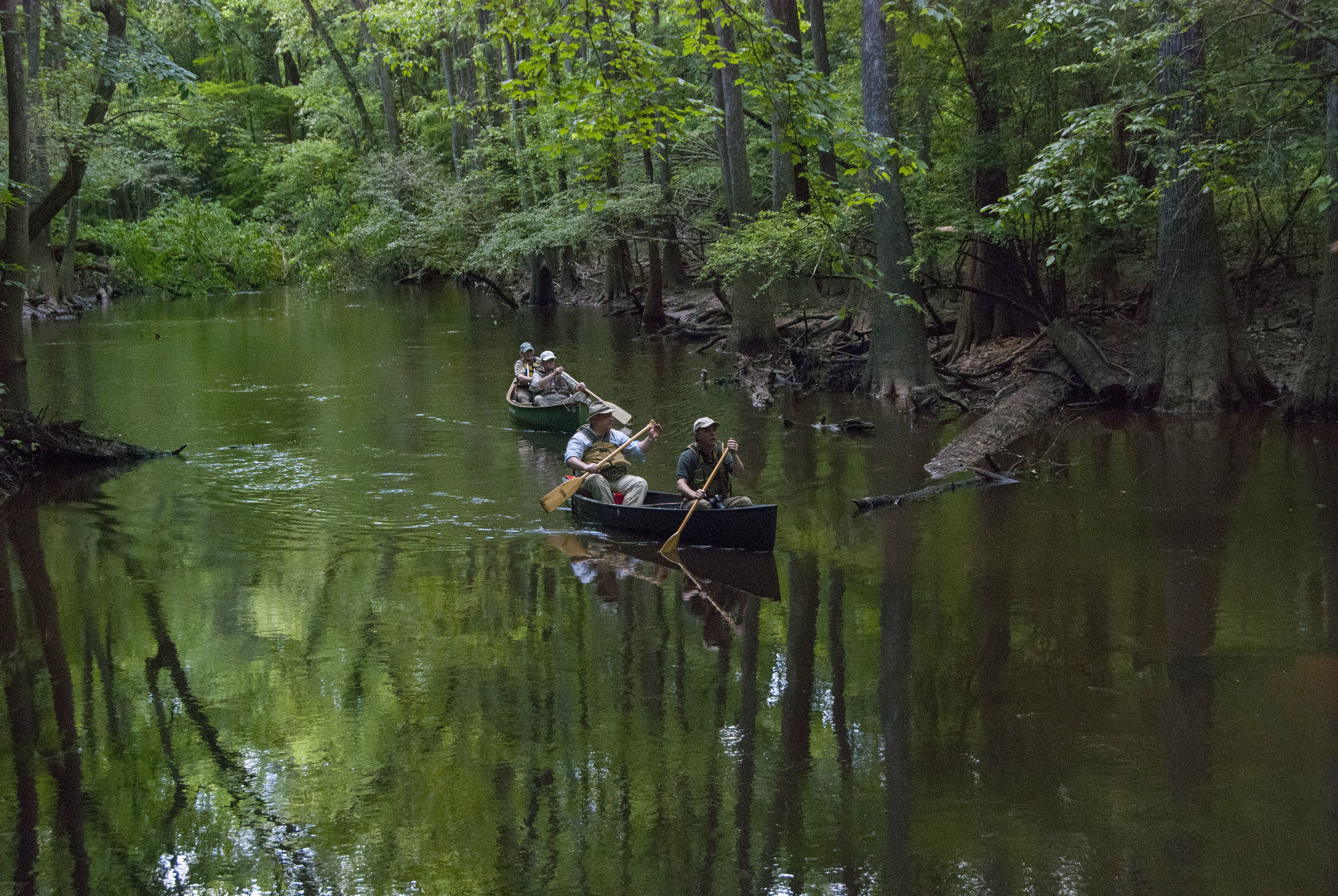 Cedar Creek Views_4.JPG