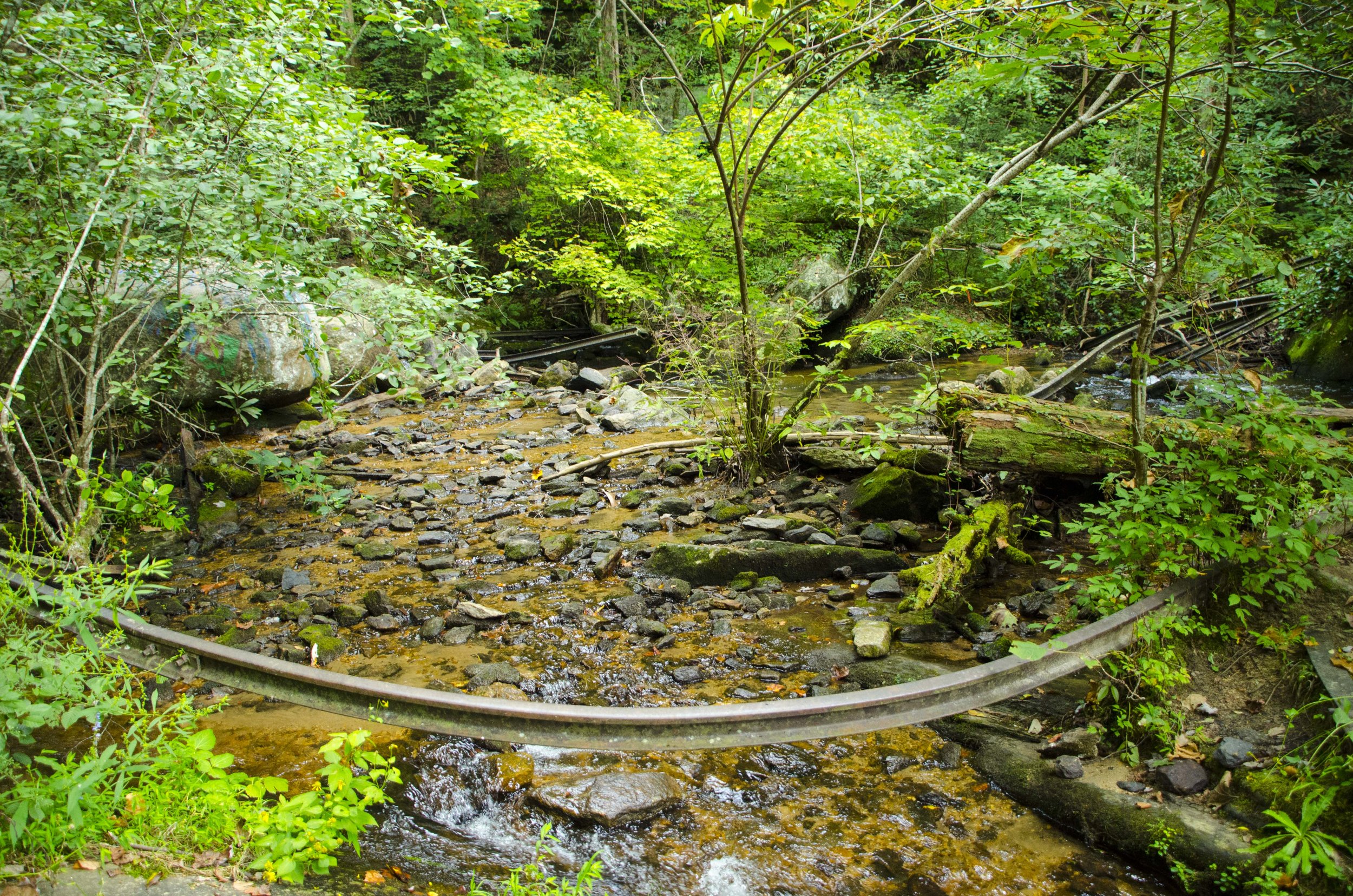 Reedy Cove Falls for Blog by DLucas_11.JPG