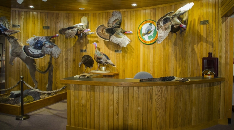 The entrance to the Winchester Museum of the wild turkey.&nbsp;(SCDNR photo by D. Lucas)