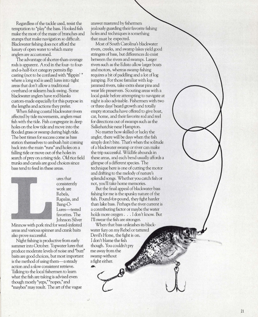 South Carolina Wildlife,&nbsp;March-April 1982 -- page 21