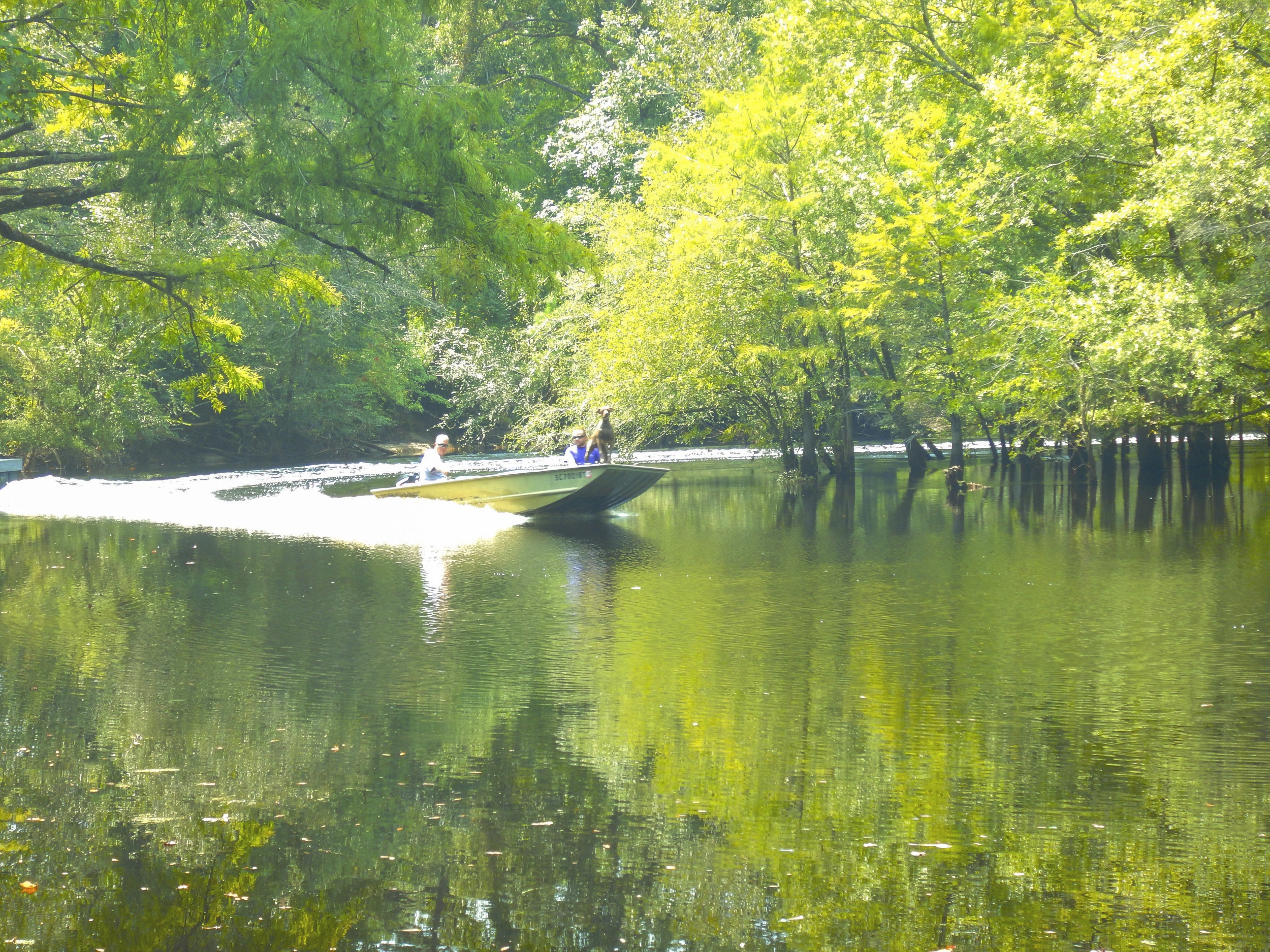  Heading upriver with a canine companion —shot from the bank at Wortham’s Ferry. [Note: The SCDNR strongly urges all boaters to wear an approved PDF at all times while on the water.] 
