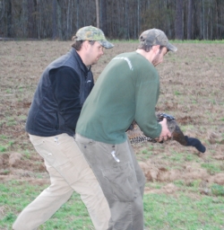 Wightman (right) and SCDNR biologist Jay Cantrell prepare to release a transmitter-tagged turkey.