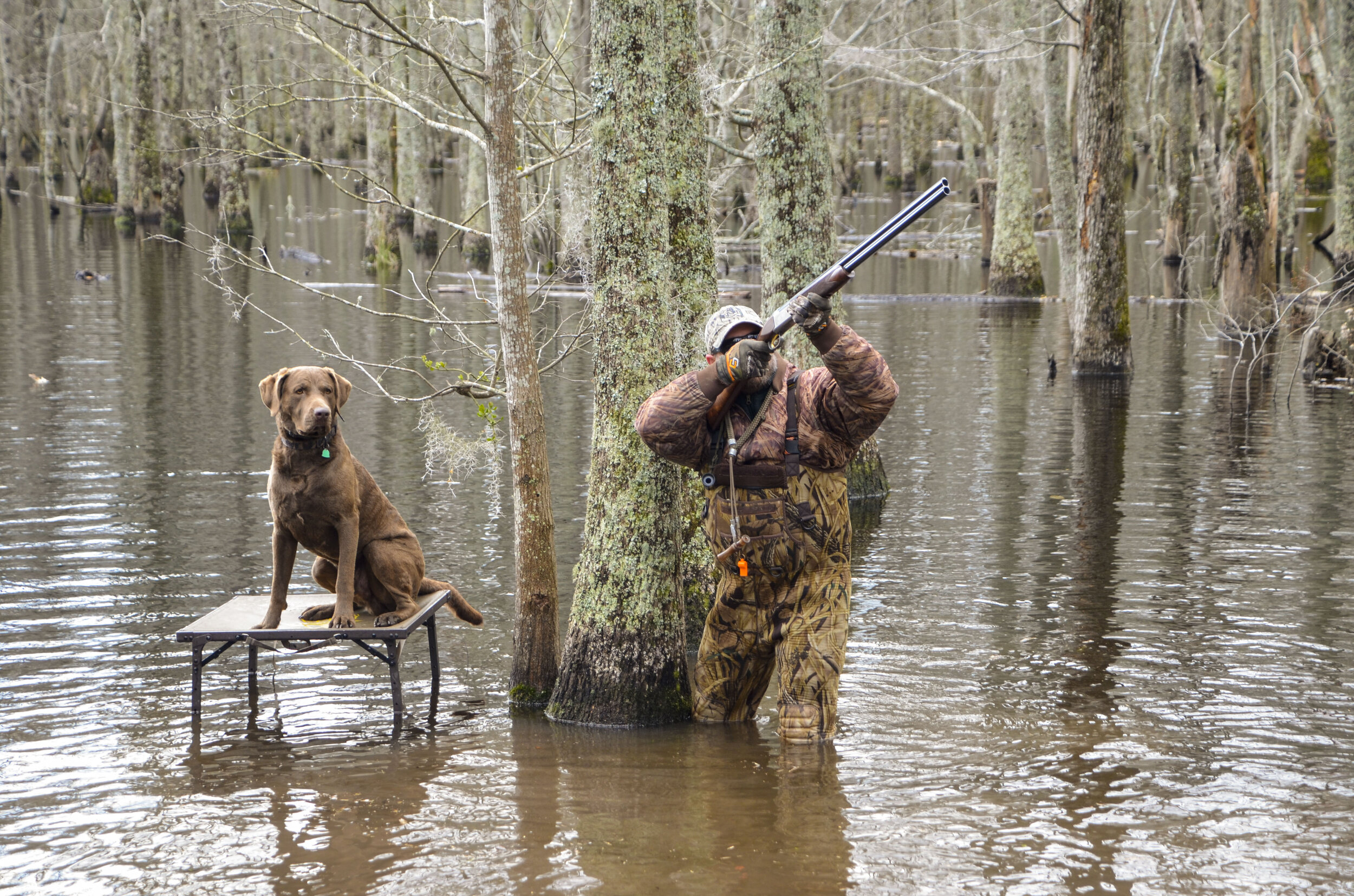 Love Farm Dog Photos_DLucas_456_1.JPG