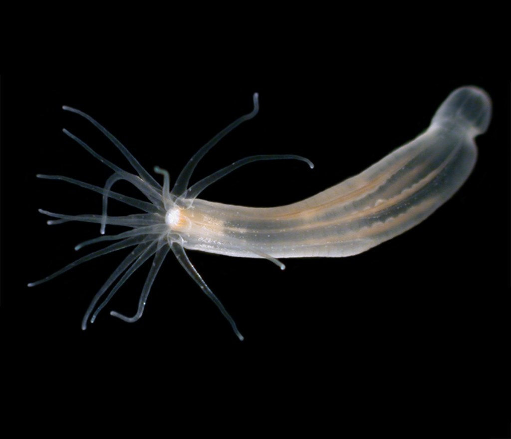 This Year’s Top Youth Angler is New to the&nbsp;Game