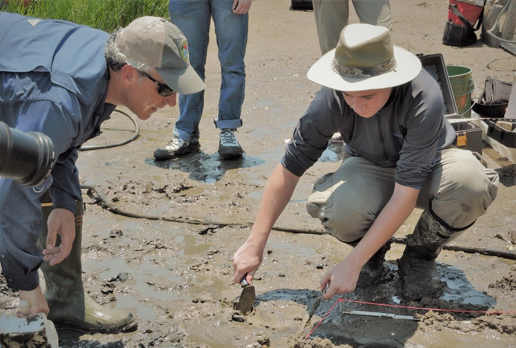 Reconstructing the Past: Forensic Archaeology and&nbsp;Bioarchaeology