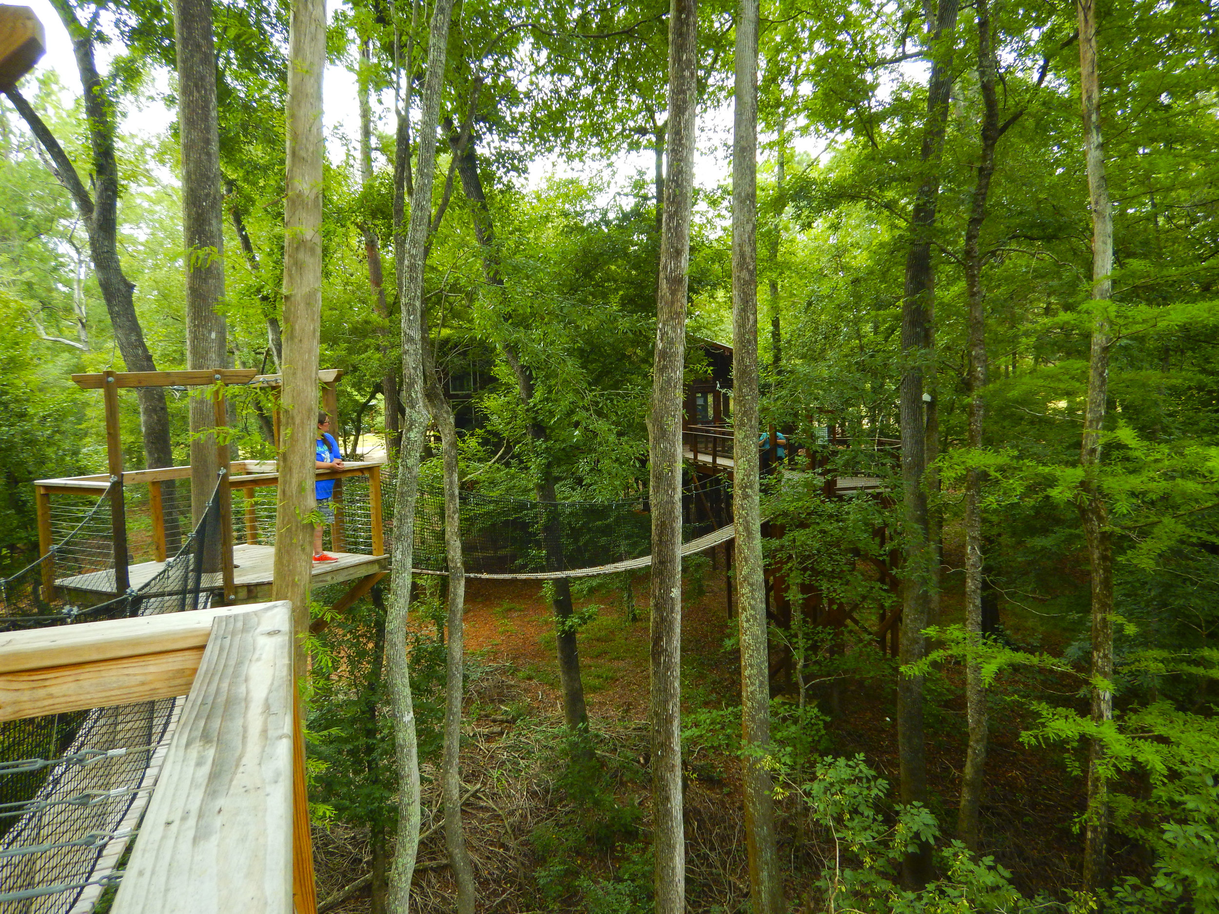 Lynches River Shots for Blog_32.JPG