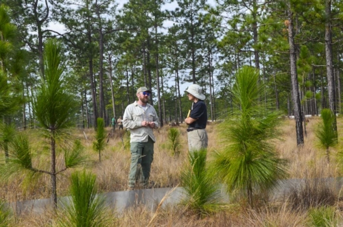 Dillman and a USFWS scientist talk about the next phase of the project while standing next to a low-walled pen used to habituate new arrivals to their surroundings.