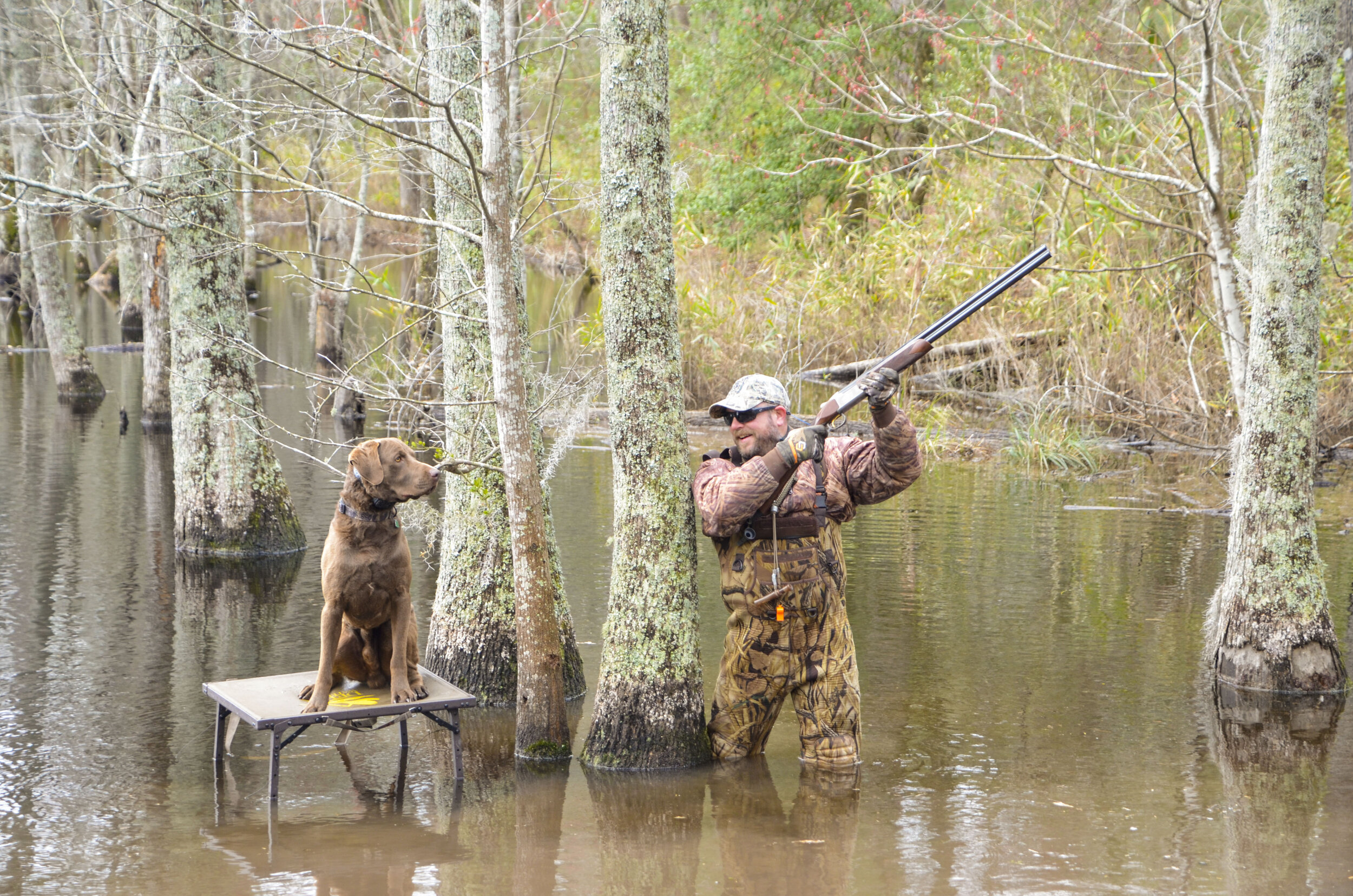 Love Farm Dog Photos_DLucas_463_1.JPG