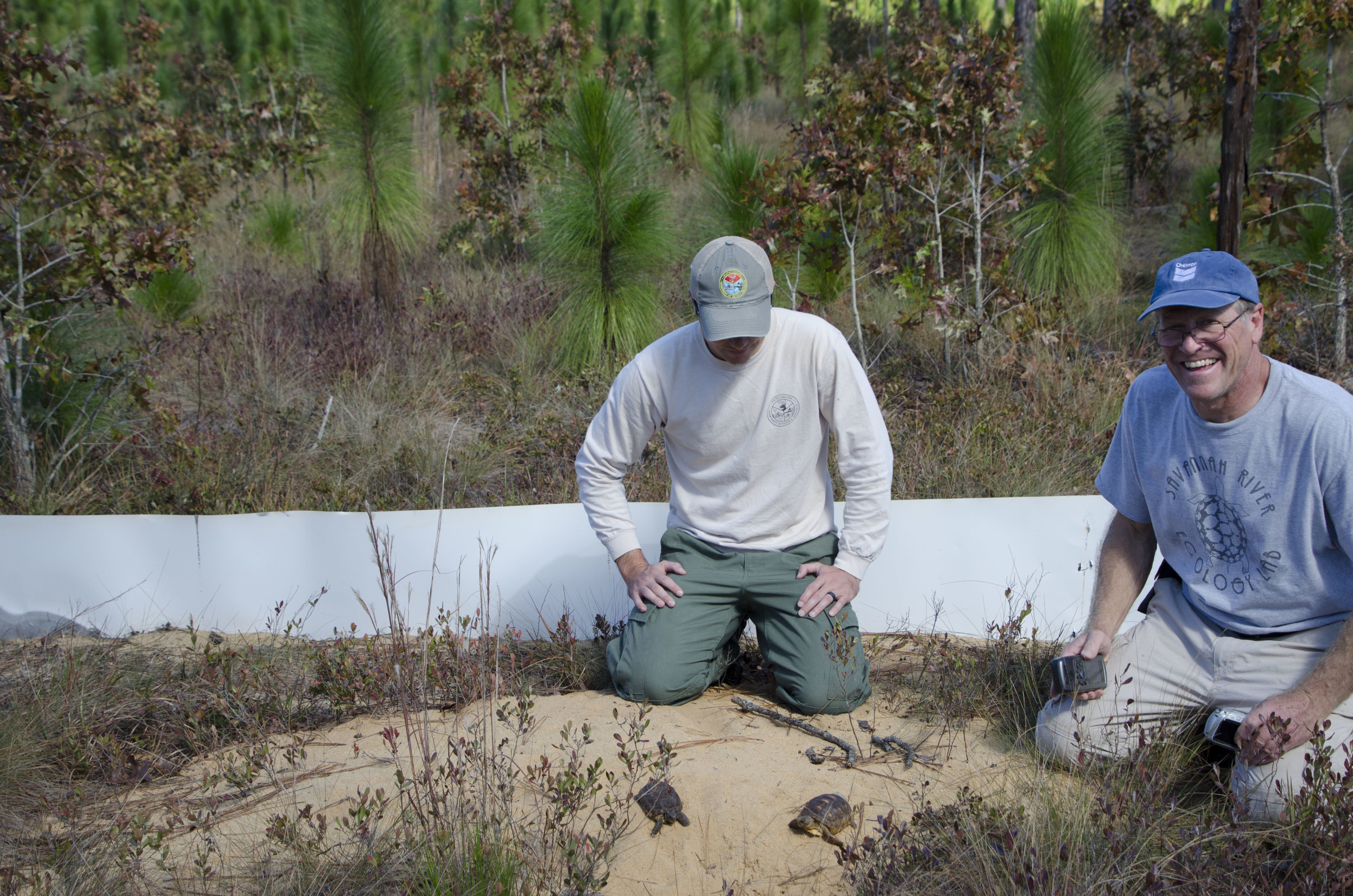 AGTHP Headstart Release by DLucas_086.JPG