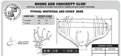 Example of part of a B&amp;C club scoring sheet (copyright 2015 B&amp;C)