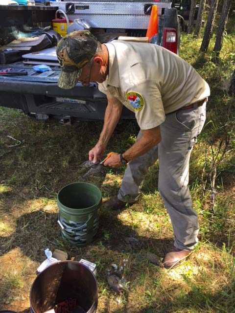 Collecting data at Belfast WMA.