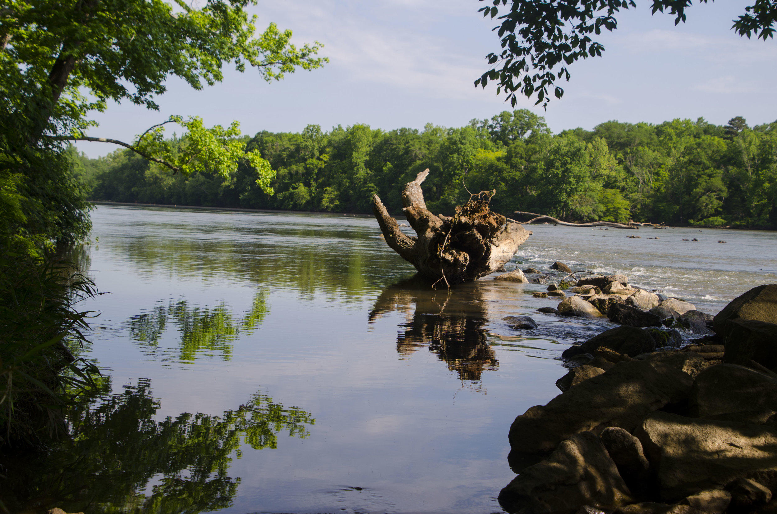 LCSP and Catawba Riverwalk for FB_4.JPG