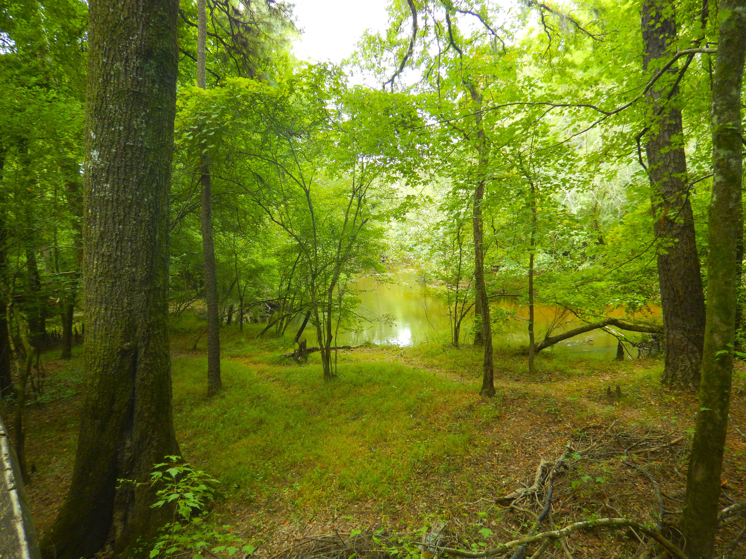 Lynches River Shots for Blog_39.JPG