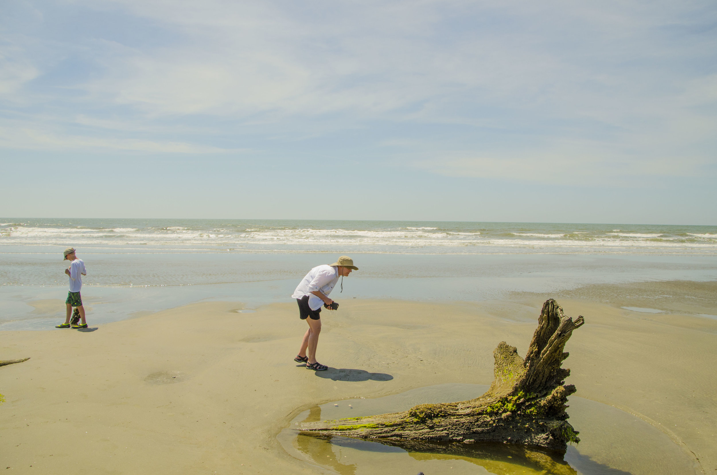 Bulls Island for Blog 031_ by DLucas.JPG