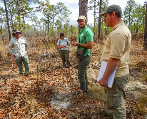 SCDNR herpetologist Will Dillman (far left) gets an update from his crew of technicians, Olivia Thomas, Joel Mota, and crew leader Jonathan Cooley.